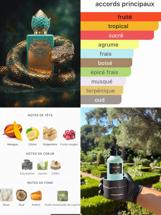 Vulcania — Extrait de Parfum 100ml | Gulf Collection