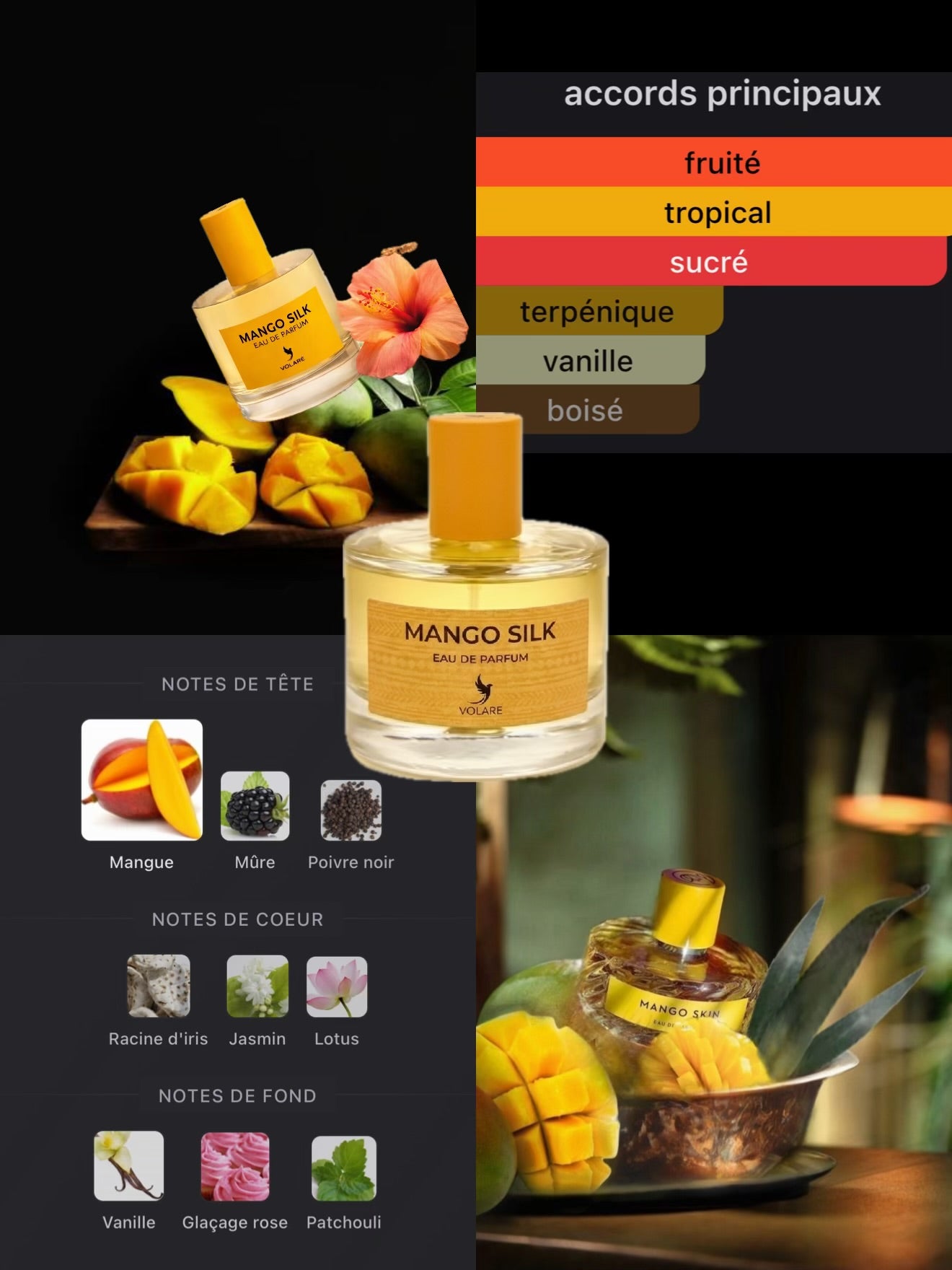 Mango Silk — Eau de Parfum 100ml | Volaré