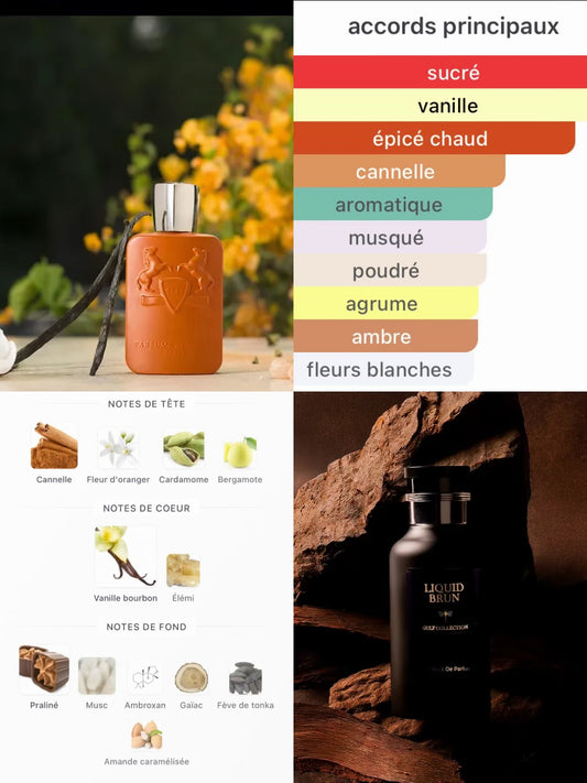 Liquid Brun — Extrait de Parfum 100ml | Gulf Collection